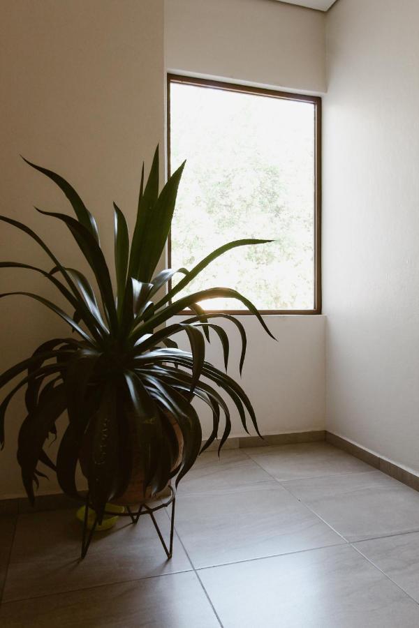 Hotel Guiva Aeropuerto Oaxaca Экстерьер фото